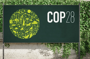 COP28: India Too Has No 'option' than to Invest in Nature
